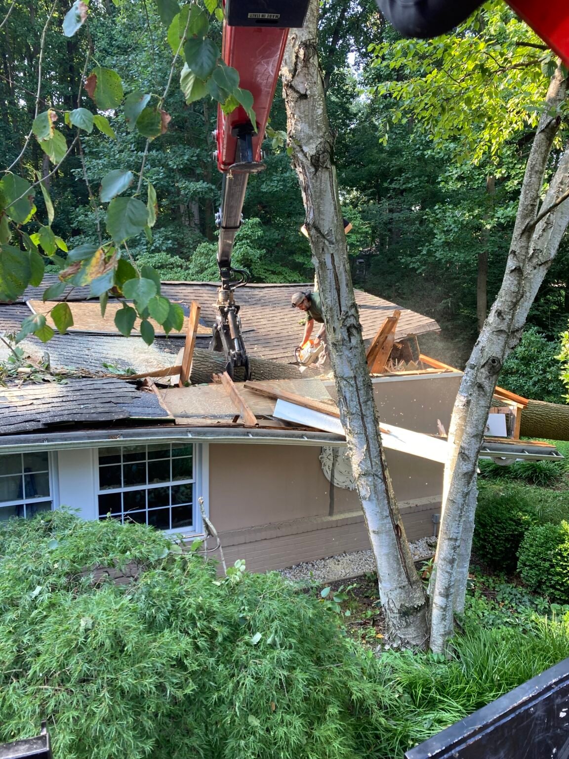 What Our Customers Are Saying